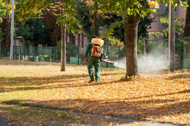  Fort Loramie, OH Pest Control Pros