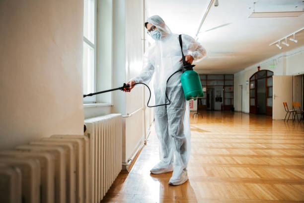 Best Local Pest Control Services  in Fort Loramie, OH